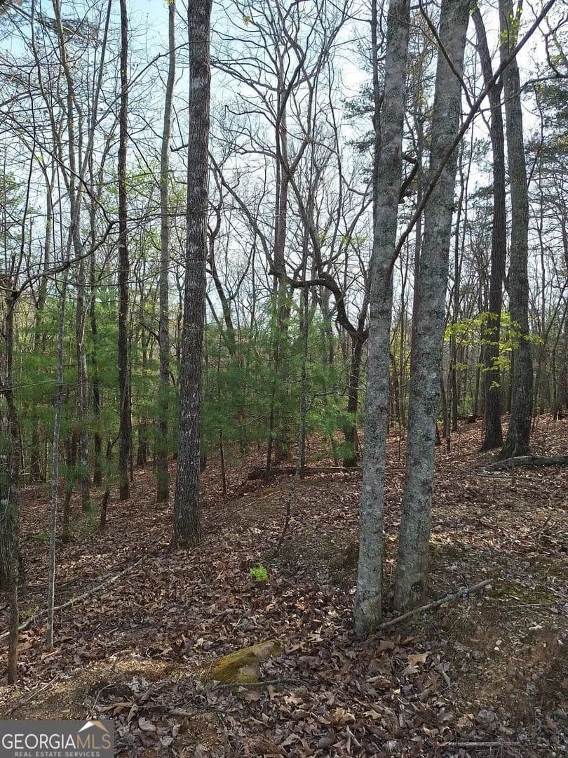 Lots & Land-Other in Morganton - Morganton, Georgia, 30560
