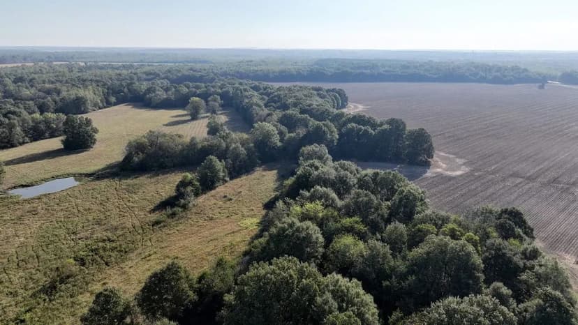 Oktibbeha County - 237 Artesia Road