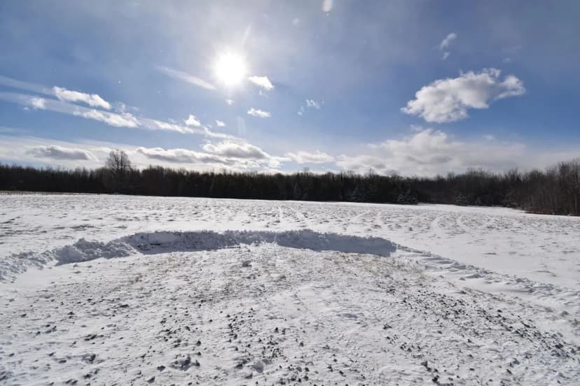 Land -Single Family Acreage in Pittsfield