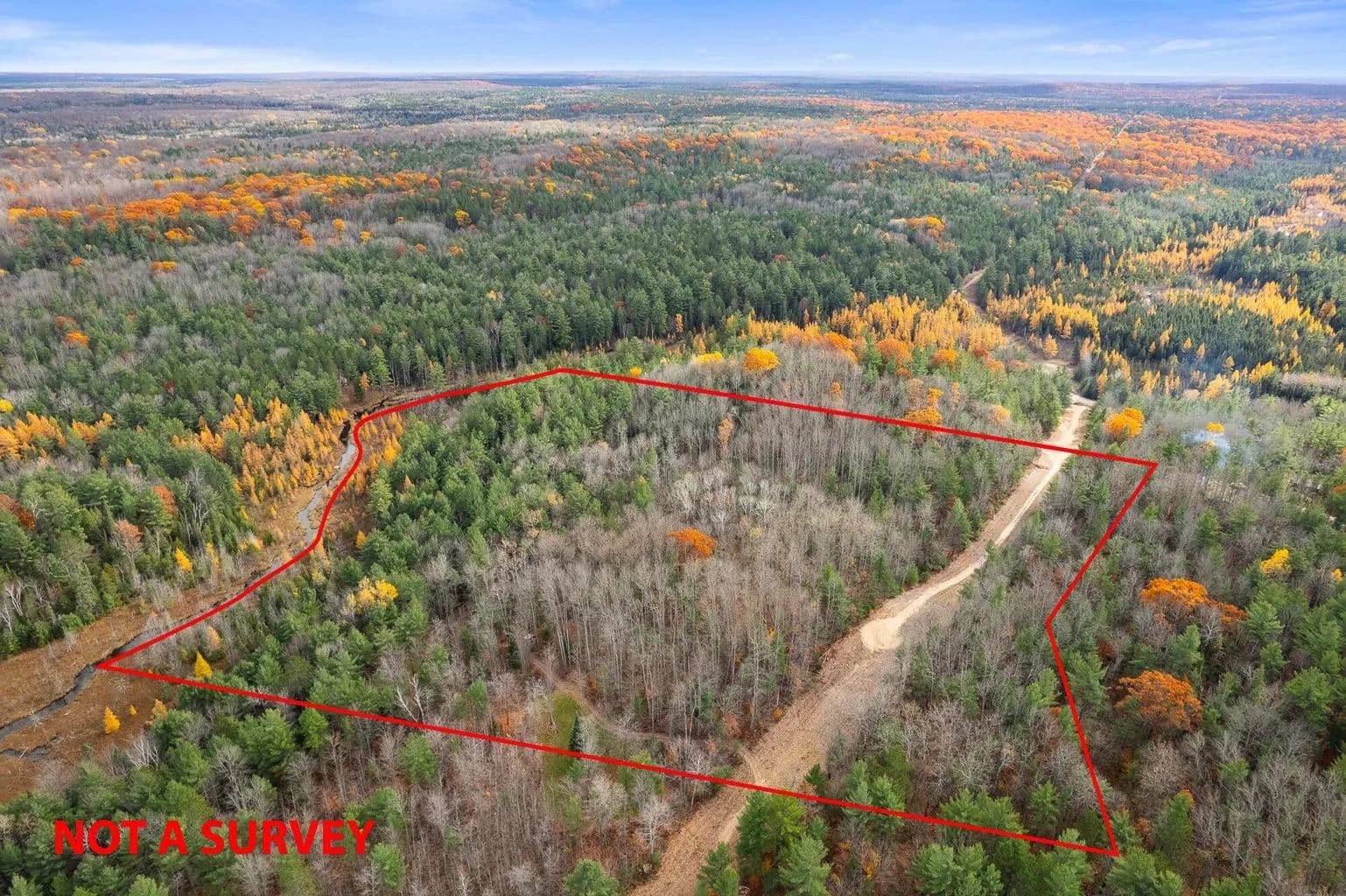 Vacant Land (10+ Acres) in Wolverine - Wolverine, Michigan, 49799