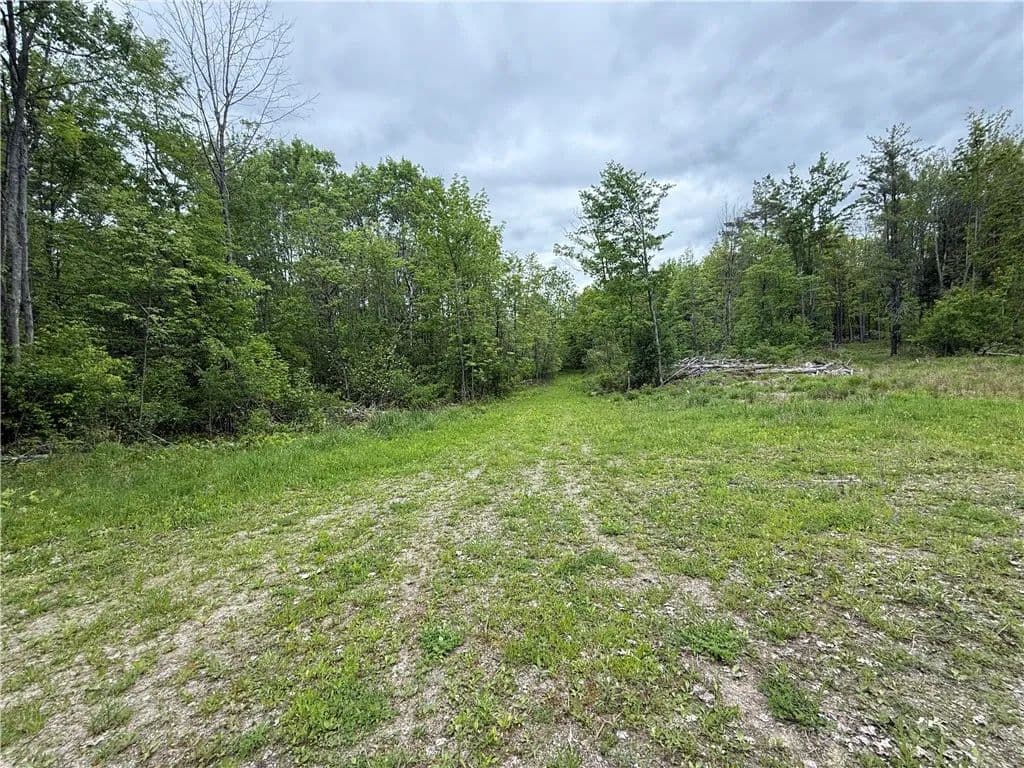 52 Acres of Land for Sale in Bradford, NY - Bradford, New York, 14815