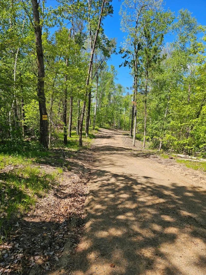 Vacant Land in Pequot Lakes