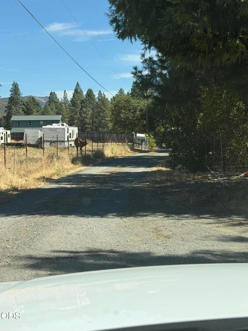 Lots & Land-Other in Applegate - Applegate, Oregon, 97530