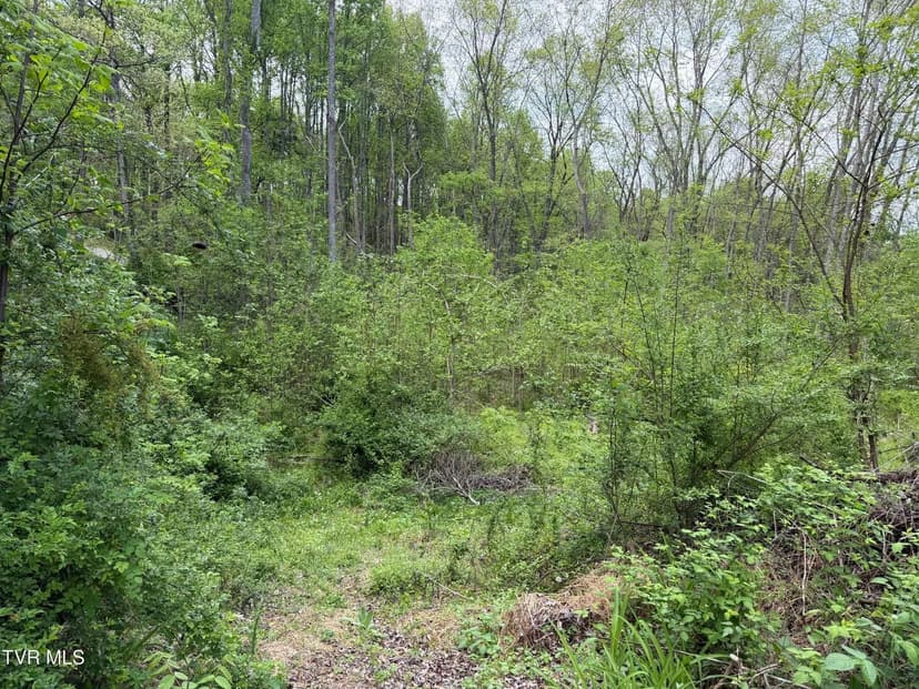 Property from 310 Mitchell Court - KW