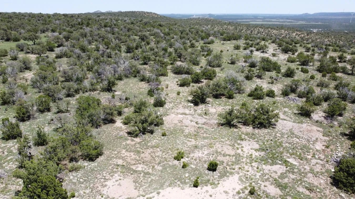 Lot 17 Swayback Trail - Corona, New Mexico, 88318