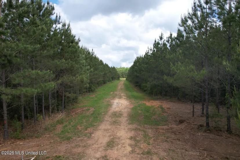 47 Acres in St. Helena Parish, LA with Black Creek