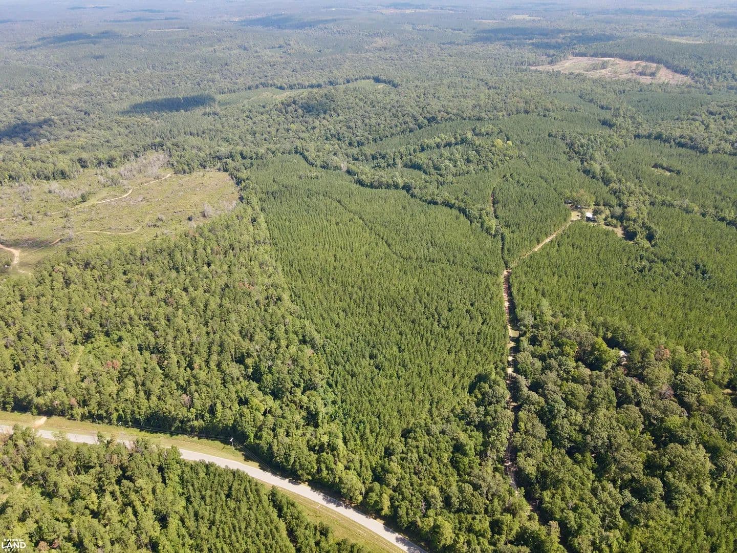 Walker Springs Hunting Tract & Timber Investment - Jackson, Alabama, 36545