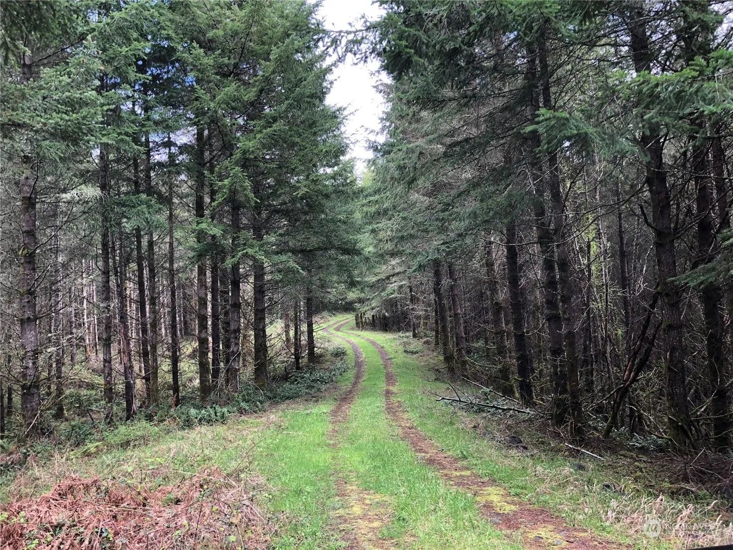 Vacant Land in Tenino - Tenino, Washington, 98589