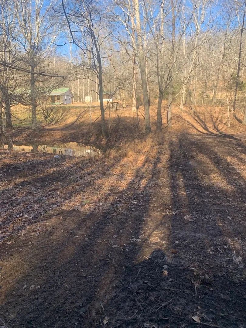 Property from 1252 Kelly Rd - KW - Centerville, Tennessee, 37033