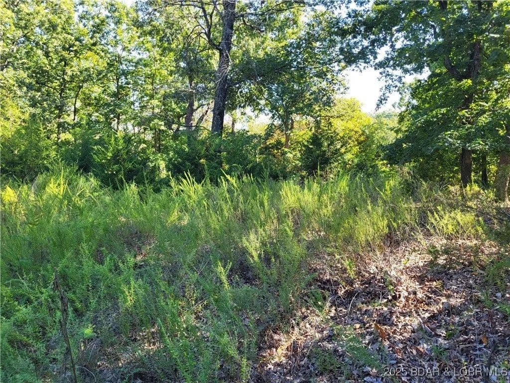 Lots & Land-Other in Gravois Mills - Gravois Mills, Missouri, 65037