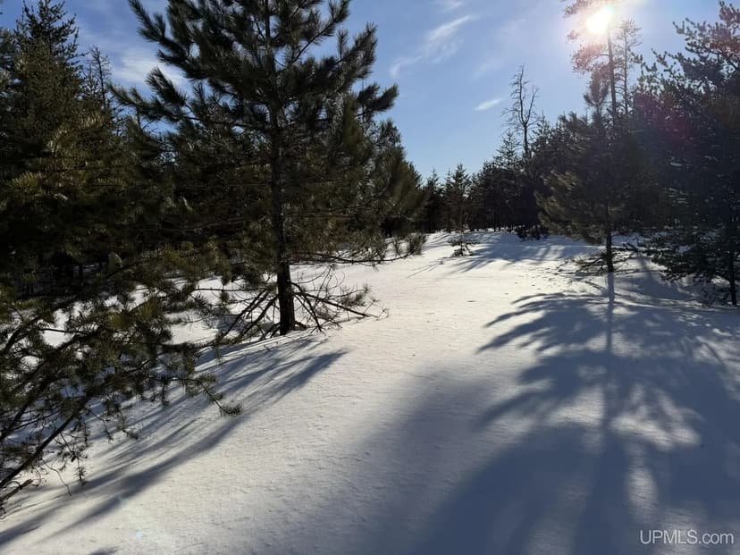 Lots & Land-Other in Gwinn