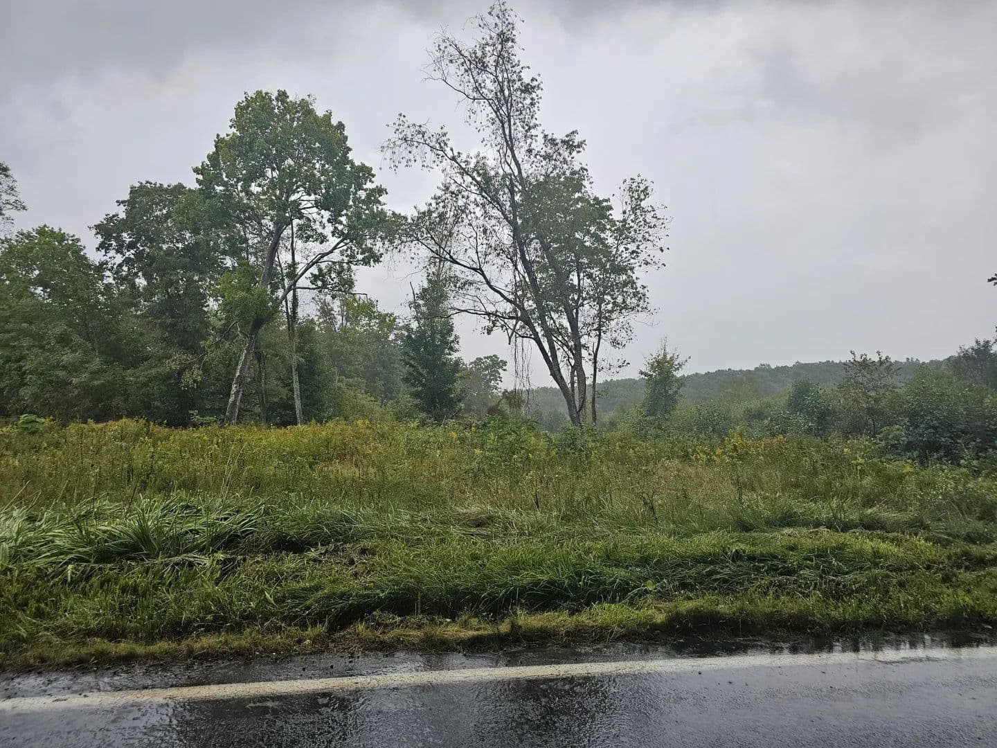 Lots & Land-Other in Danese - Danese, West Virginia, 25831