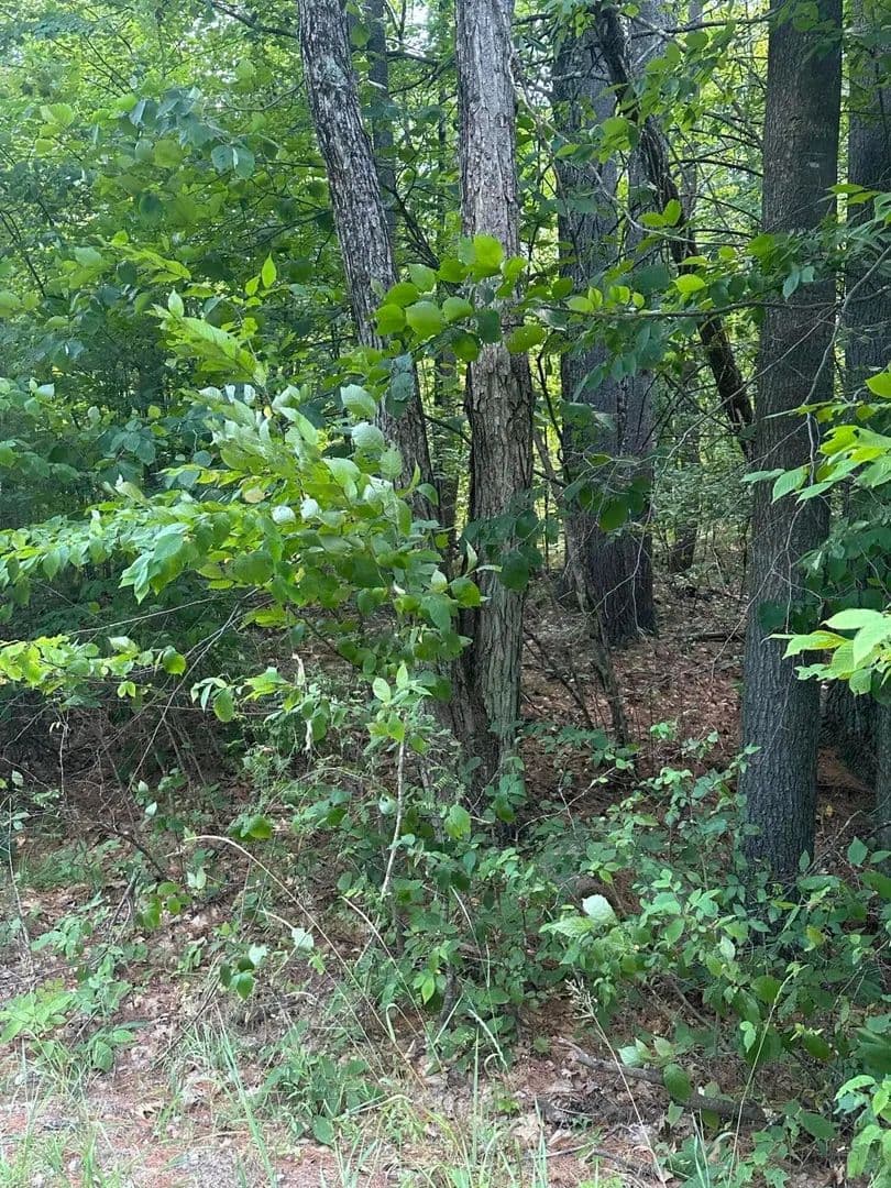 Lots & Land-Other in Jay - Jay, New York, 12941