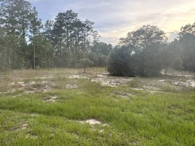 0.99 Acres of Land for Sale in DUNNELLON, FL - Dunnellon, Florida, 34431