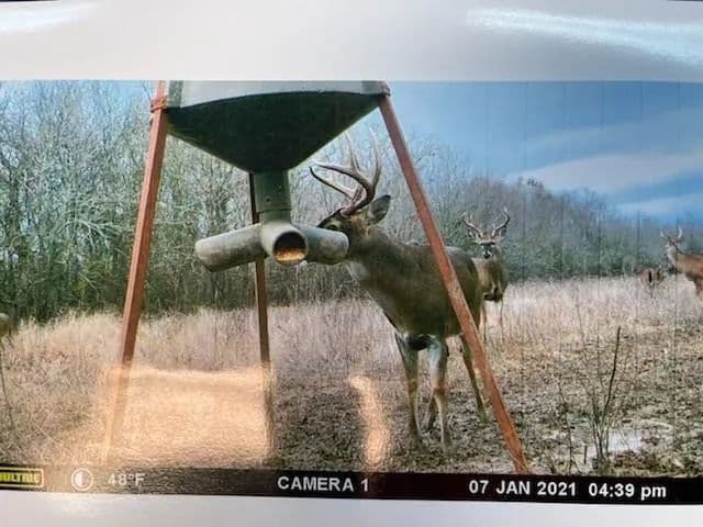 Property from 000 EFFIE Highway - KW