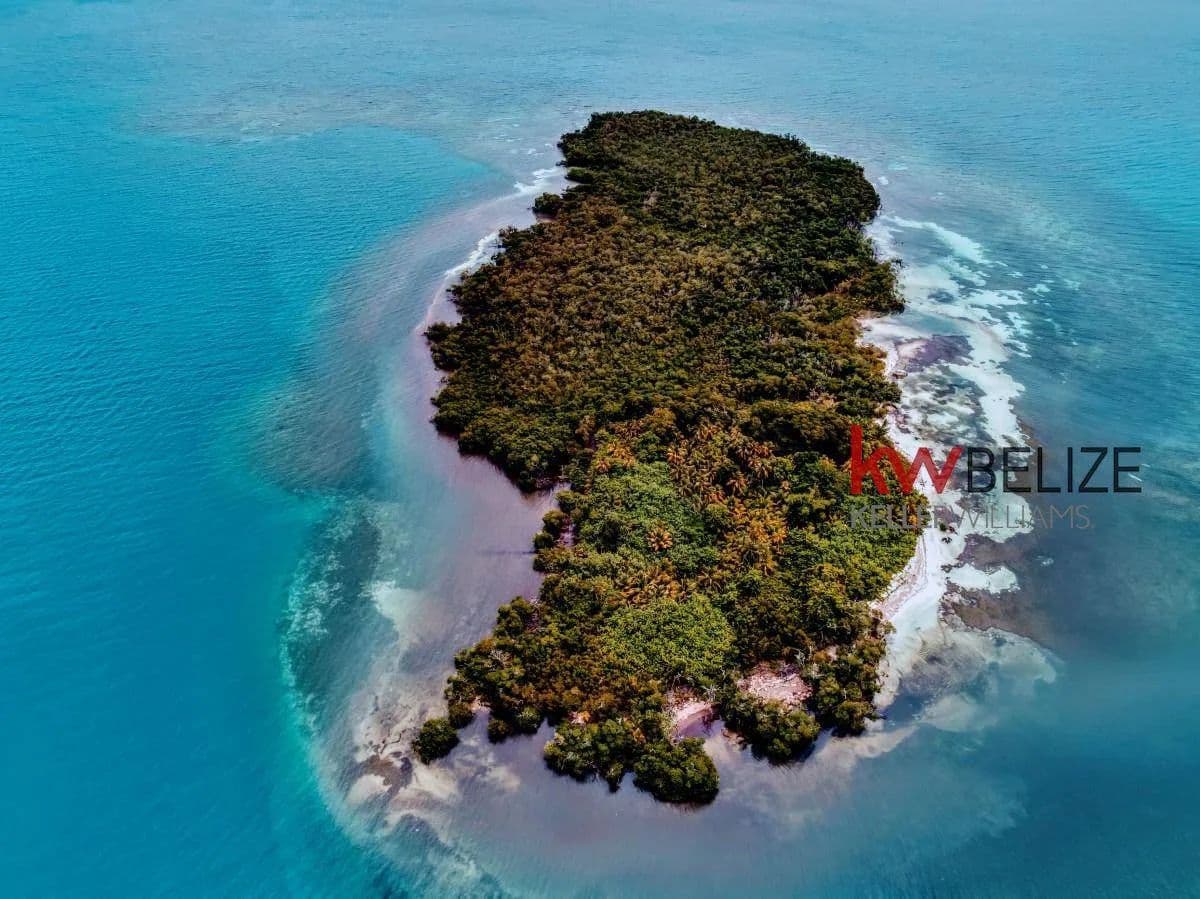 #Frenchman's Caye - land for sale
