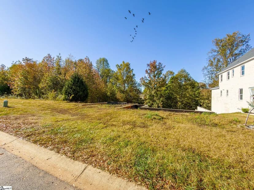 Vacant Land in Greenville