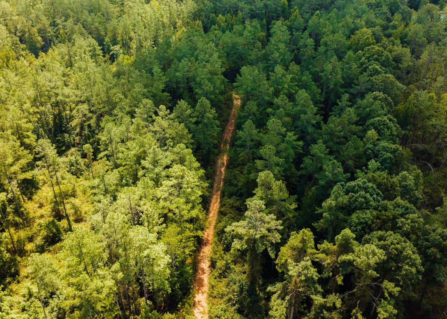 320 Acres in Lafayette County, MS  - Paris, Mississippi, 38949