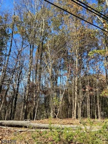 Vacant Land in Wayne Twp.