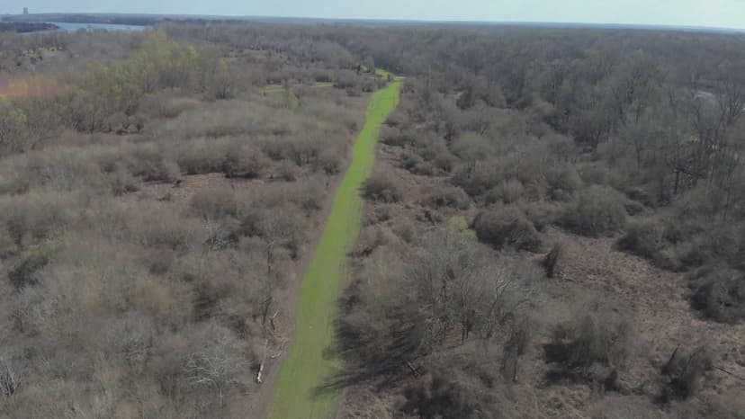 LA - Tensas 400 acres +/-