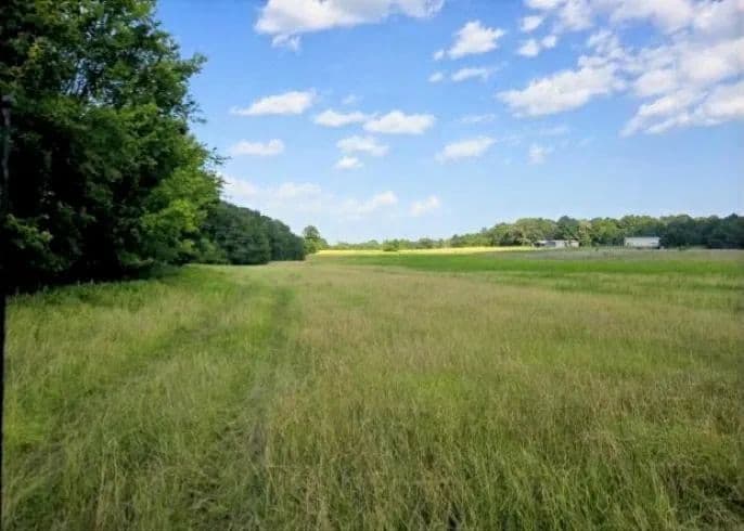 Vacant Land (10+ Acres) in Henderson - Henderson, Texas, 75652