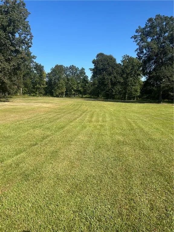 Vacant Land in Tickfaw - Tickfaw, Louisiana, 70466