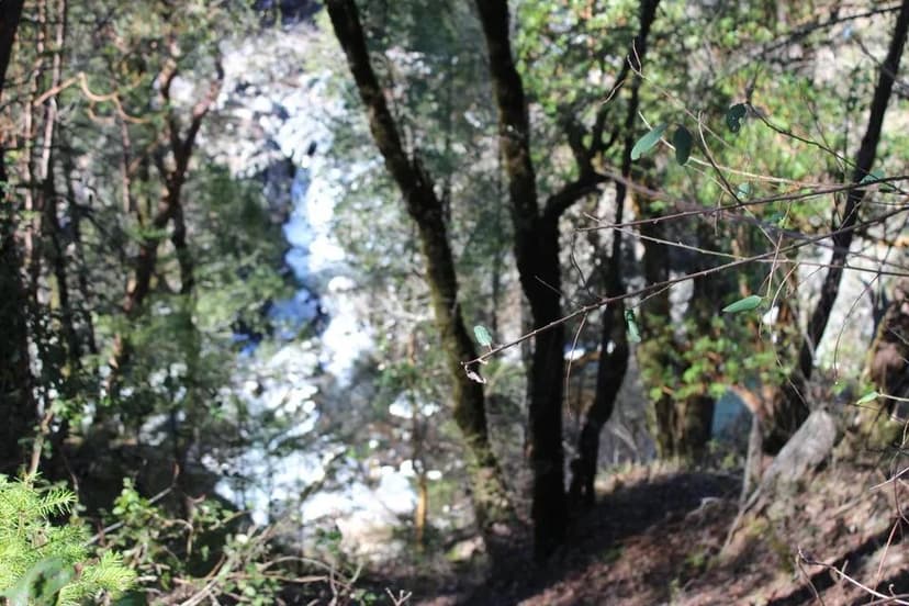 Vacant Land (10+ Acres) in Round Mountain