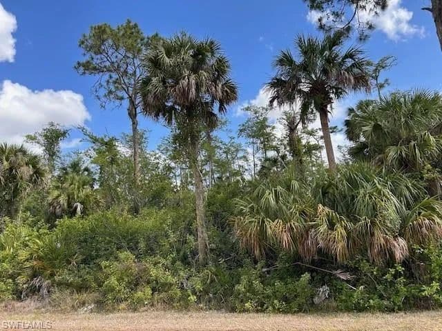 Vacant Land in Naples
