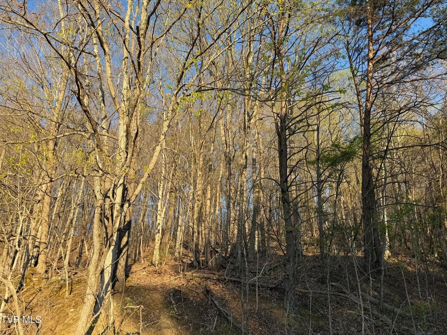 Property from Tbd Possum Hollow Road - KW - Johnson City, Tennessee, 37615