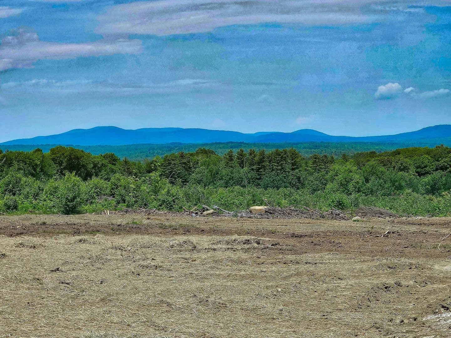 10.03 Acres of Land for Sale in Chesterville, Maine - Chesterville, Maine, 04938