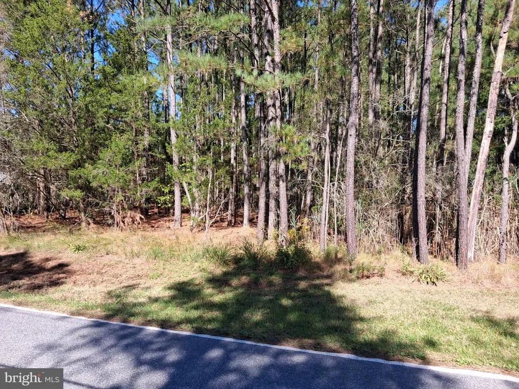 2 Acres of Land for Sale in PRINCESS ANNE, MD - Princess Anne, Maryland, 21853