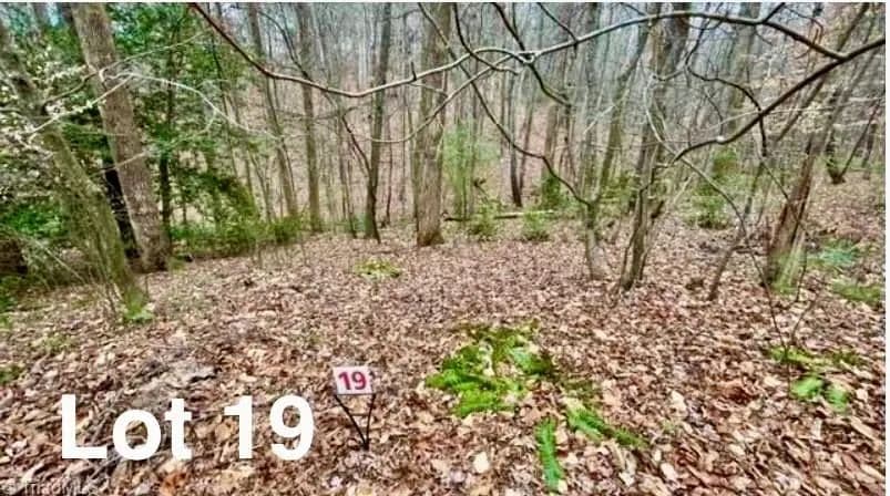 Vacant Land in Stuart - Stuart, Virginia, 24171