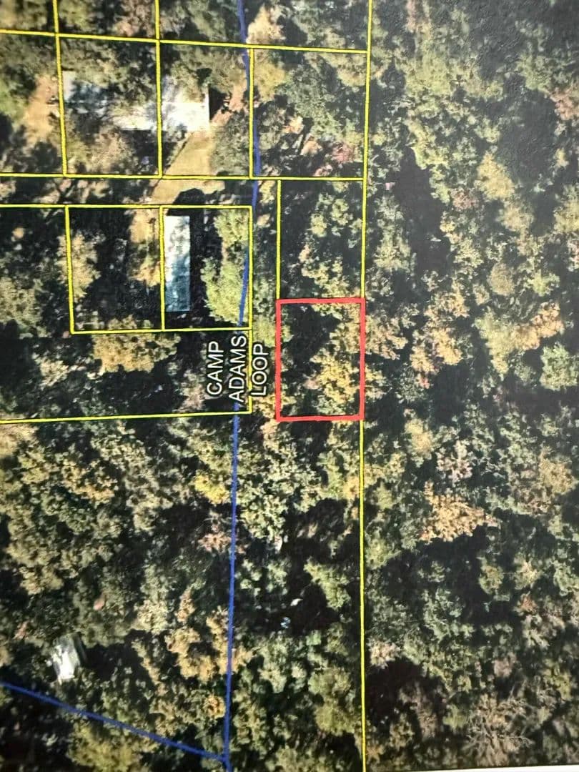 Property from 105 Camp Adams Loop - KW - Ponce De Leon, Florida, 32455