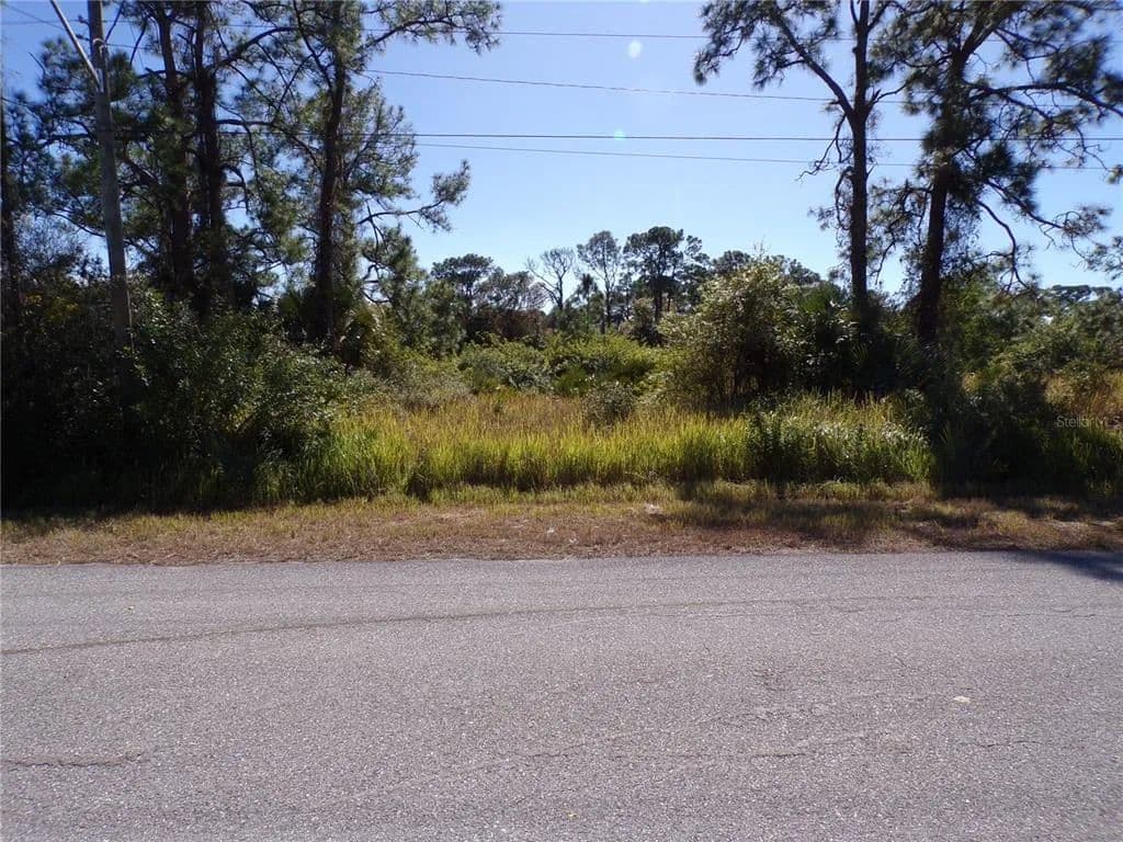 Vacant Land in Lehigh Acres - Lehigh Acres, Florida, 33972