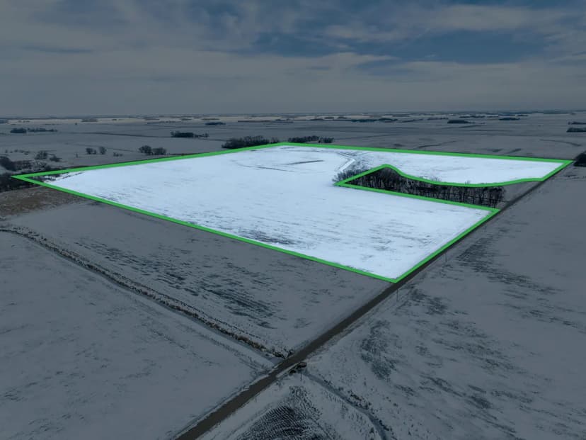 Faribault County Land Auction 150.70 acres