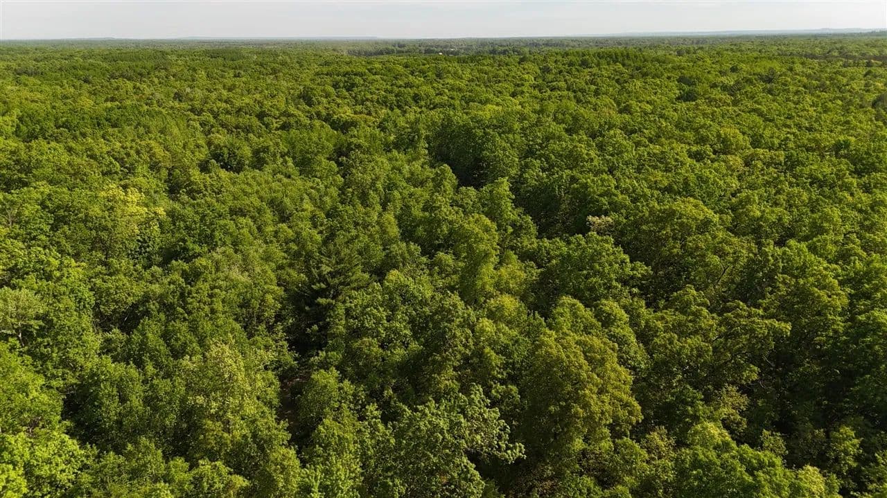 Property from W 7 Mile - KW - Irons, Michigan, 49644