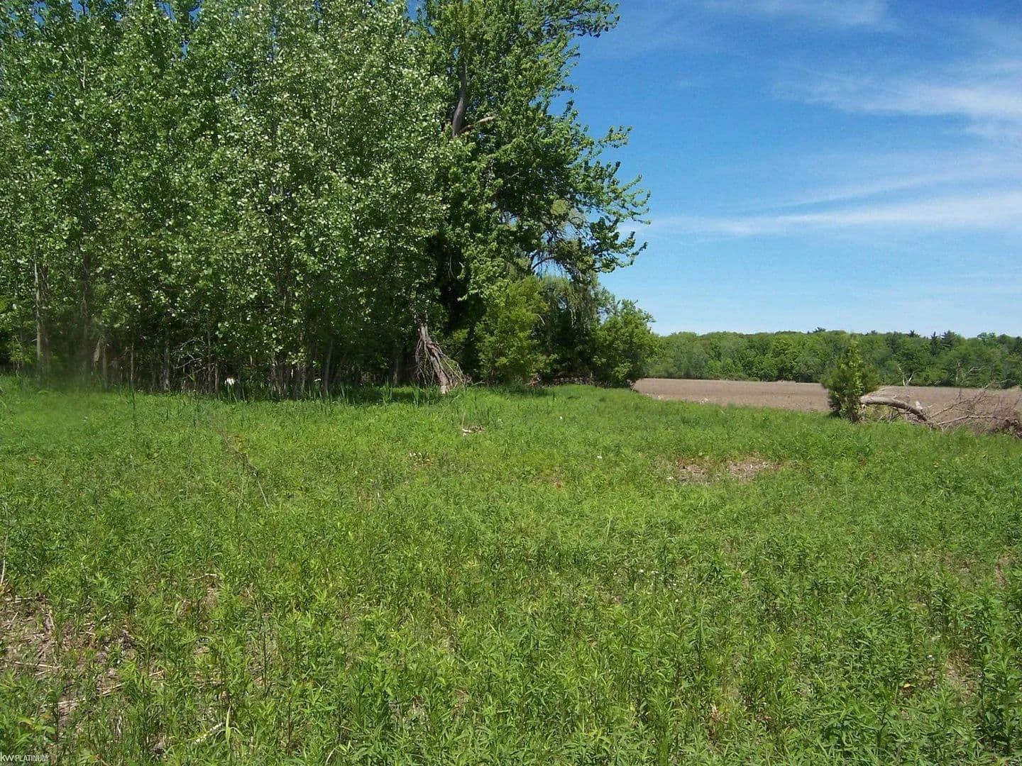 Property from Lot 2 Lapeer Rd Road - KW - , Michigan, 48074