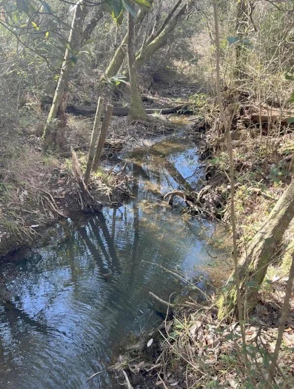 Vacant Land in Laurel Hill