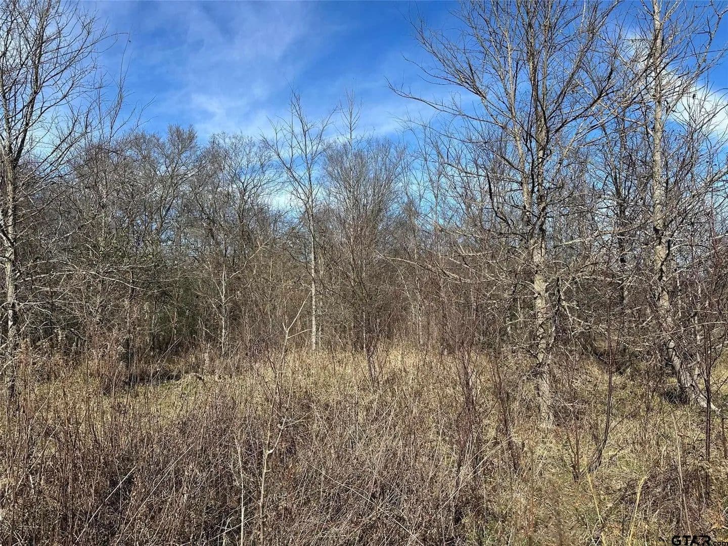 Vacant Land in Como - Como, Texas, 75431