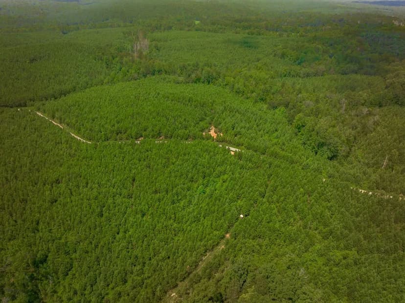 Kings Creek Tract 3