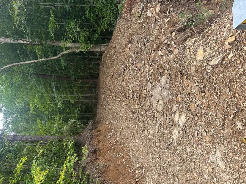 Land -Single Family Acreage in Calvin