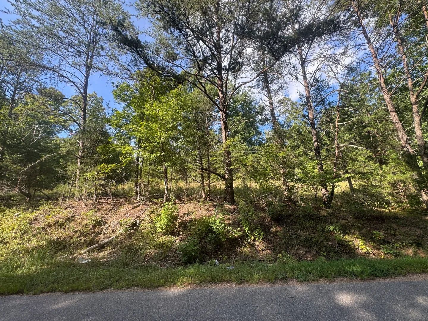 Vacant Land (10+ Acres) in Gladstone - Gladstone, Virginia, 24553