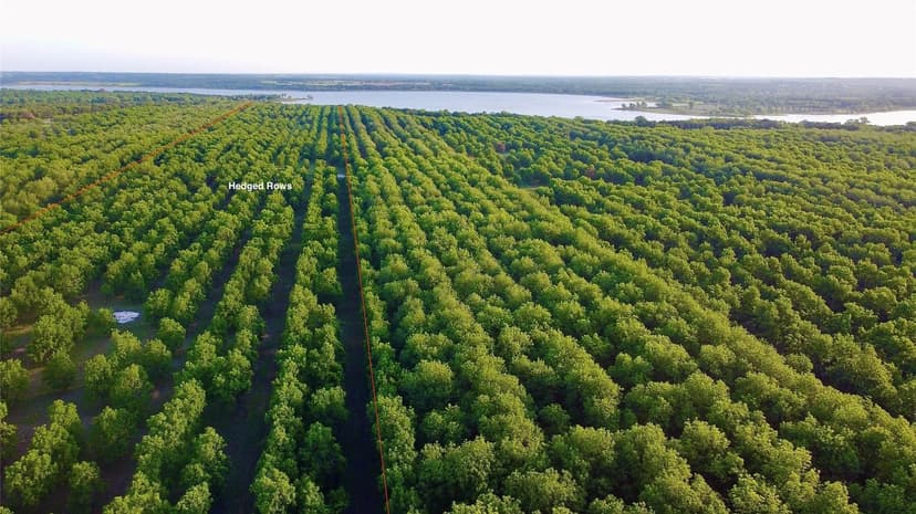 Property from 751 County Road 424 - KW