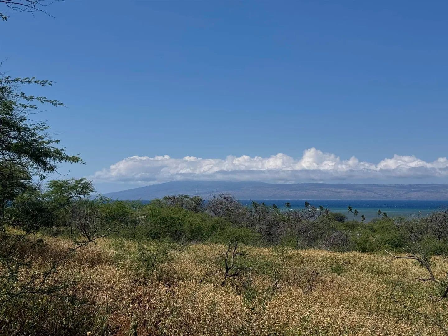 2.04 Acres of Land for Sale in Kaunakakai, HI - Kaunakakai, Hawaii, 96748