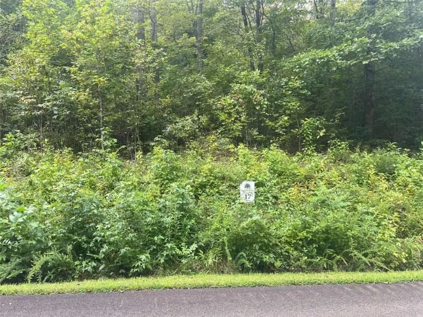 Vacant Land in Blue Ridge