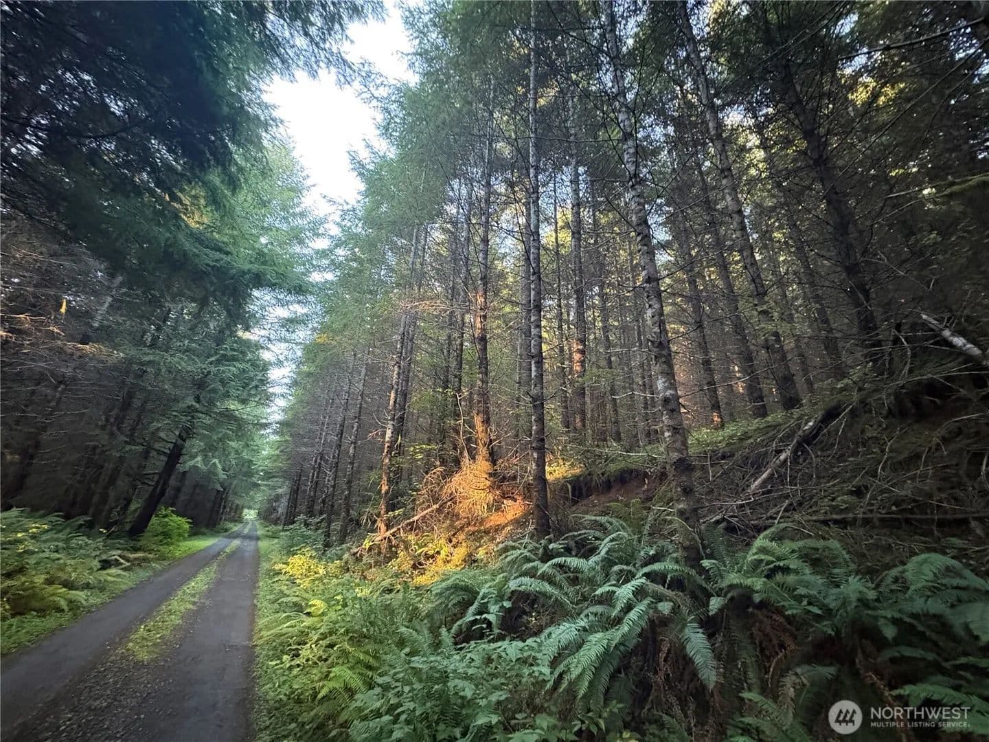Vacant Land in Longview - Longview, Washington, 98632