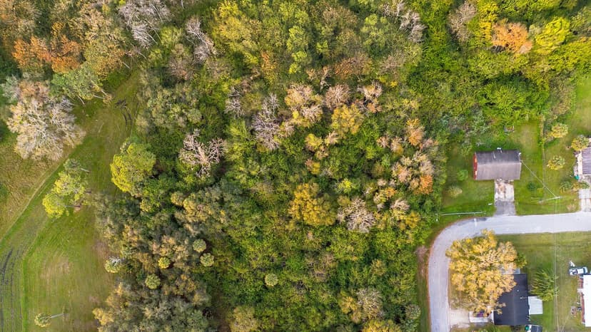 Lots & Land-Other in Okeechobee