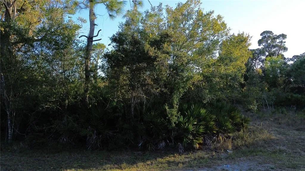 Vacant Land in Punta Gorda - Punta Gorda, Florida, 33955