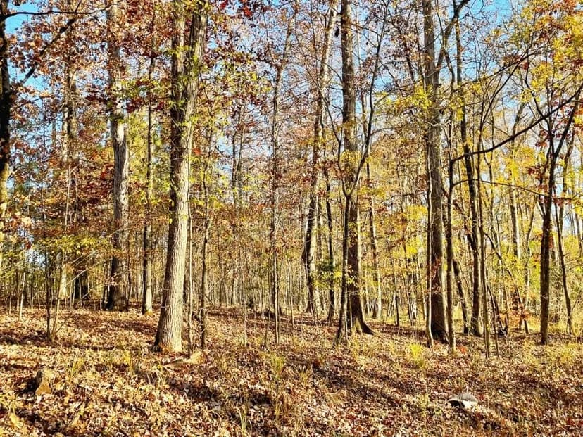 Jasper Co. Bargain Tract