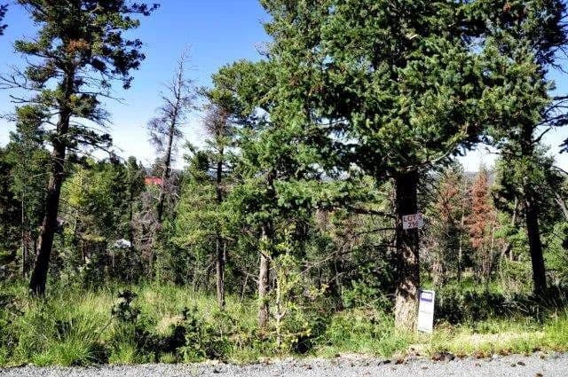 Land -Agricultural (Not Zoned) in Ruidoso - Ruidoso, New Mexico, 88345
